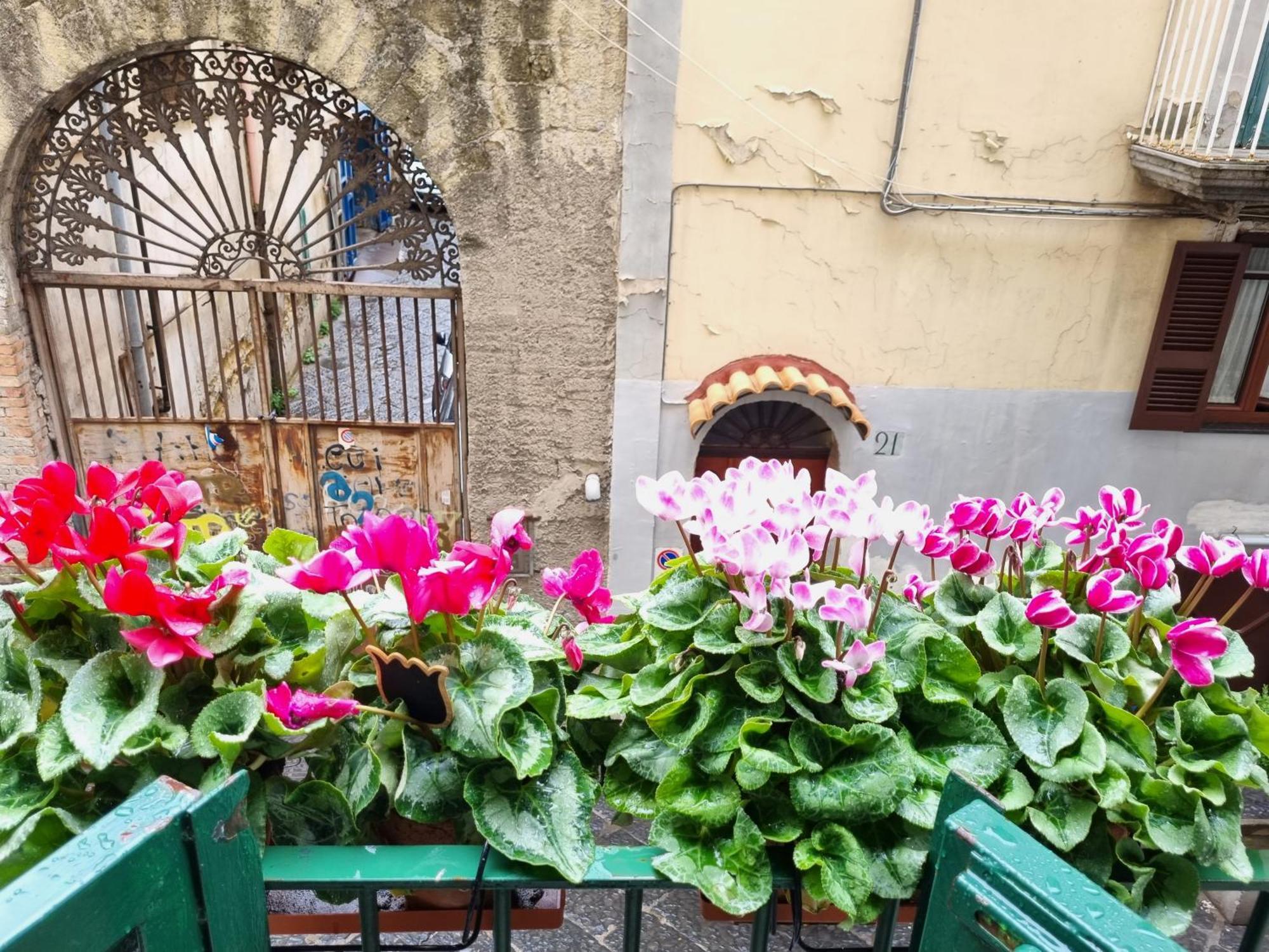 La Casa Di Domi Apartment Napoli Exterior foto